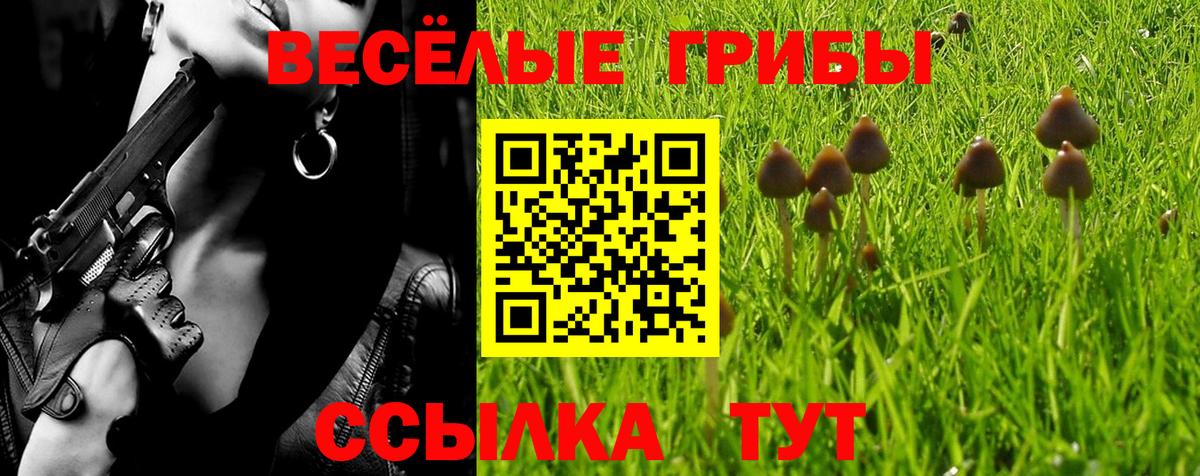 Топки  Псилоцибиновые грибы Psilocybine cubensis  Вход с VPN  Псилоцибиновые грибы Psilocybe 
