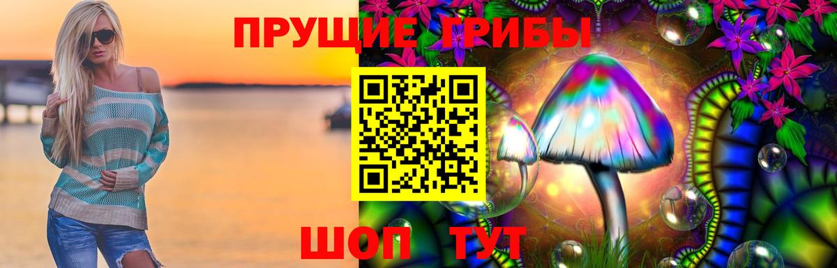 Псилоцибиновые грибы Cubensis Топки